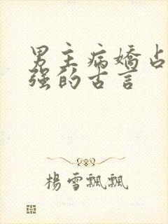 男主病娇占有欲强的古言