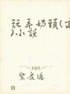 玩弄奶头(高h)小说封面