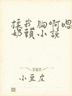 揉我胸啊嗯摸湿奶头小说