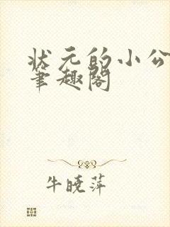 状元的小公主 笔趣阁