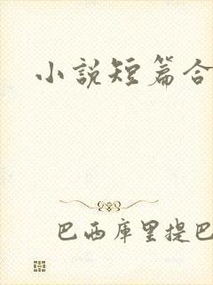 小说短篇合集h封面