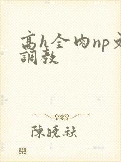 高h全肉np文调教