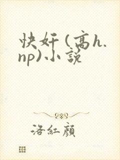快奸 (高h.np)小说