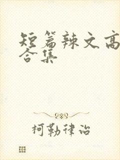 短篇辣文高h文合集