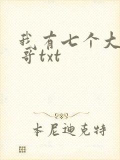 我有七个大佬哥哥txt