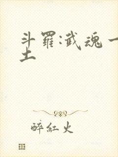 斗罗:武魂一块土