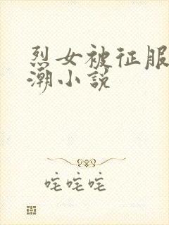 烈女被征服到高潮小说