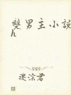 双男主小说 高h