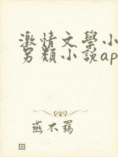 激情文学小说区另类小说app