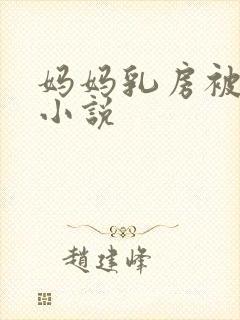 妈妈乳房被蹂躏小说封面