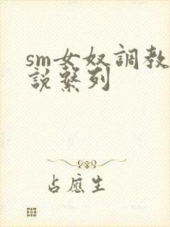 sm女奴调教小说系列