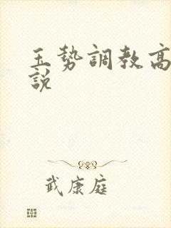 玉势调教高h小说