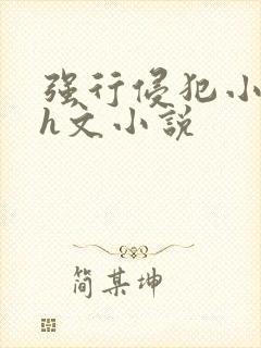 强行侵犯小男孩h文小说