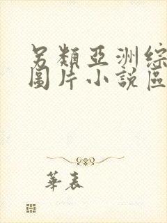 另类亚洲综合区图片小说区封面