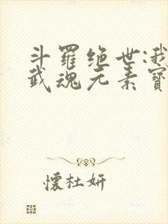 斗罗绝世:我的武魂元素宝典免费阅读