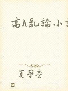 高h乱论小说封面