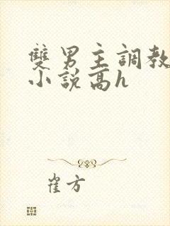 双男主调教尿道小说高h封面