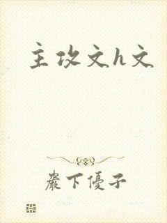 主攻文h文