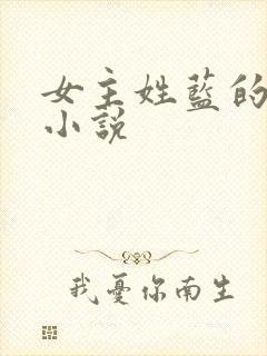 女主姓蓝的现代小说封面