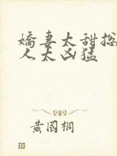 娇妻太甜总裁大人太凶猛封面