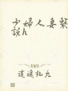 少妇人妻系列小说h封面