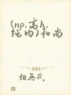 (np,高h,纯肉)和尚