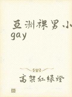 亚洲裸男小鲜肉gay