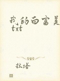 我的白富美老婆 txt封面