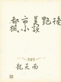 都市美艳后宫唐枫小说