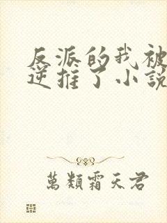 反派的我被女主逆推了小说