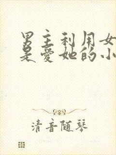 男主利用女主但是爱她的小说封面