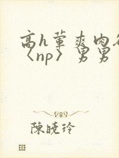 高h荤爽肉欲文〈np〉男男