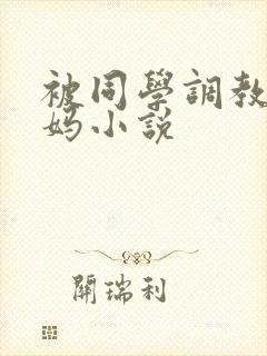 被同学调教的妈妈小说封面