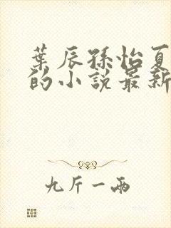 叶辰孙怡夏若雪的小说最新