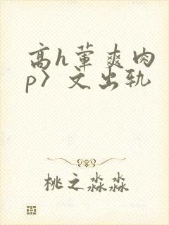 高h荤爽肉〈np〉文出轨