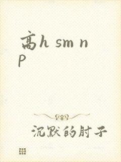 高h sm np