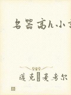 名器高h小说