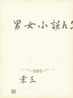 男女小说h父女封面