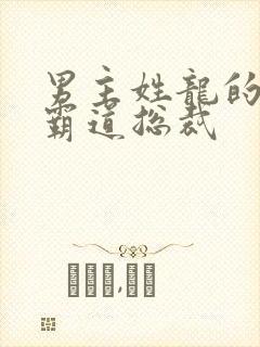 男主姓龙的小说霸道总裁封面