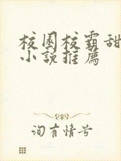 校园校霸甜宠文小说推荐封面