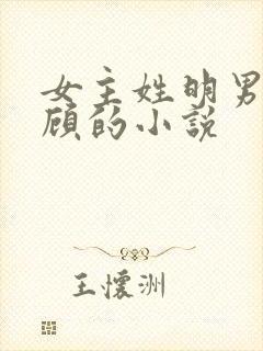 女主姓明男主姓顾的小说