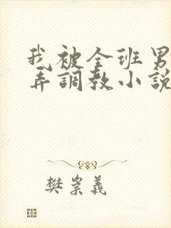 我被全班男生玩弄调教小说封面