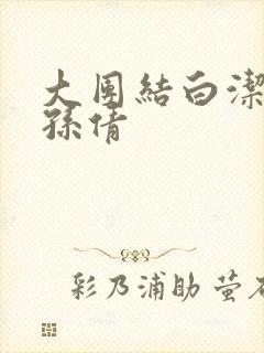 大团结白洁高义孙倩