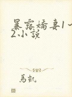 暴露娇妻1～12小说
