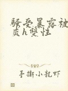 骚受暴露被强好爽h双性