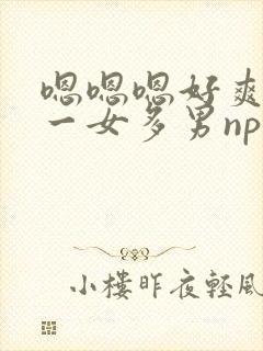 嗯嗯嗯好爽还要一女多男np