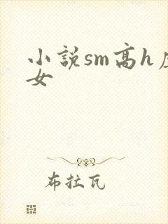 小说sm高h虐女