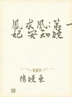 凤求凰:第一皇妃 安知晓