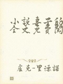 小说妻子的秘密全文免费阅读全文