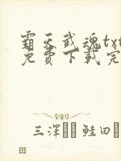 霸天武魂txt免费下载完本封面